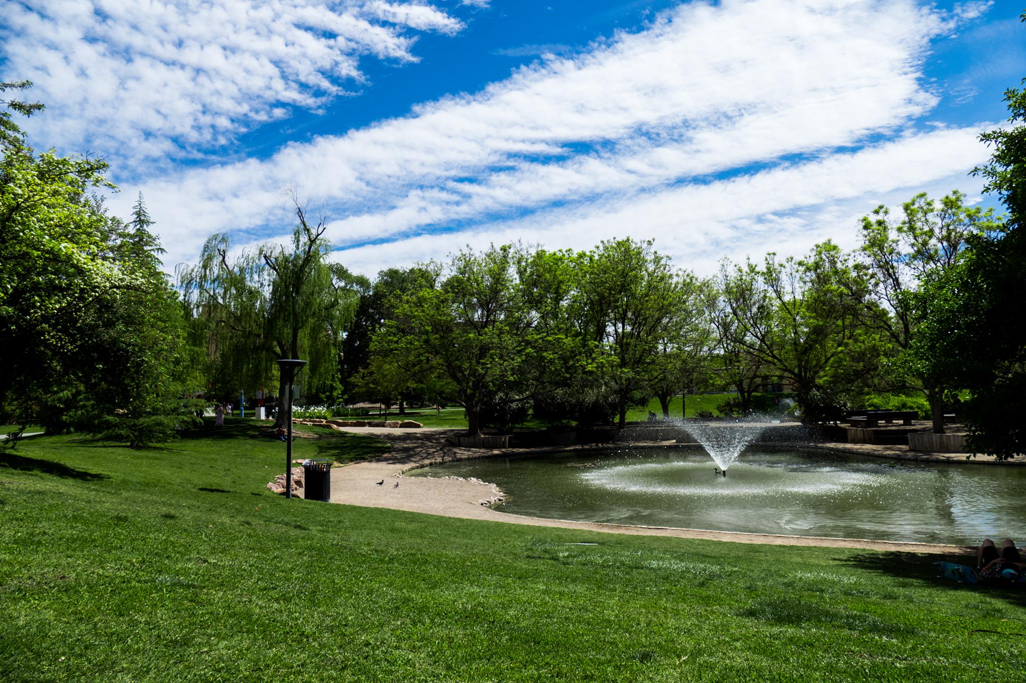 university-of-new-mexico-the-best-master-s-degrees